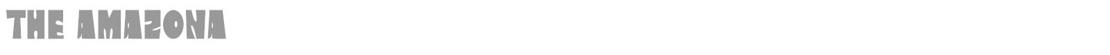The Amazona font preview